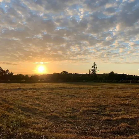 Maison Lumineuse Et Renovee Au Coeur Du Perche Malétable