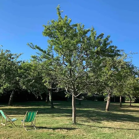 Maison Lumineuse Et Renovee Au Coeur Du Perche Malétable