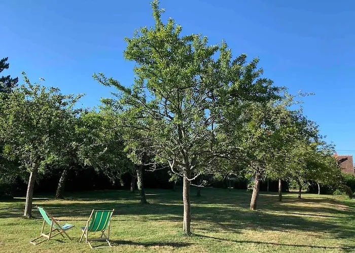 Maison Lumineuse Et Renovee Au Coeur Du Perche Malétable